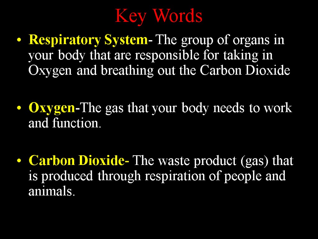 Key Words Respiratory System- The group of organs in your body that are responsible